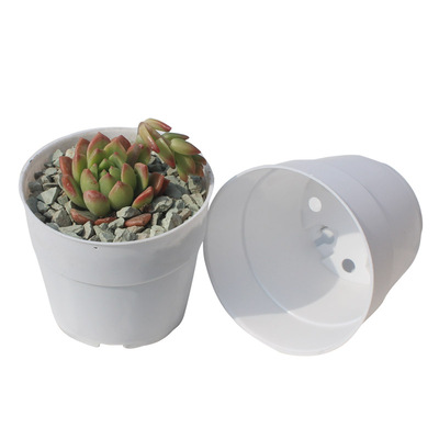 加厚圆口多肉绿植物盆栽试验室育苗杯白色简约叶插款新塑料花盆