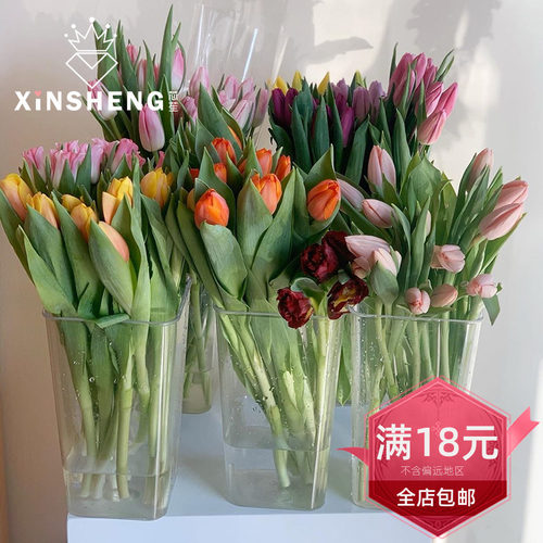 韩式高透明花桶PC耐摔花瓶花店用品专业醒花养花材料家居插花装饰