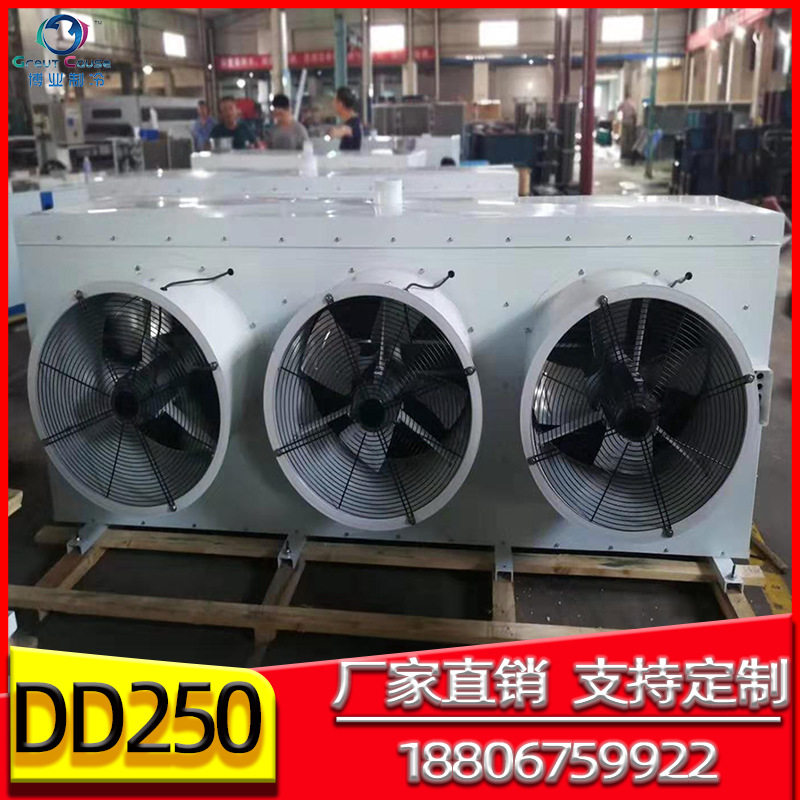 DD250平方风冷式冷库蒸发器