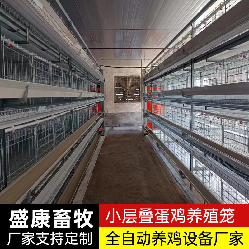 鸡笼子自动捡蛋机h型蛋鸡笼子小层叠立式机械养殖鸡舍设备鸡笼子