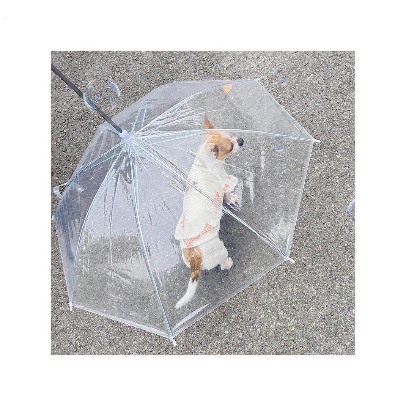 宠物专用狗狗雨伞下雨遛狗柯基雨衣狗用雨伞透明泰迪中小型犬