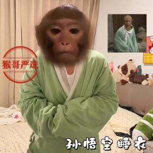 孙悟空睡衣猴哥同款道袍齐天吗喽睡袍搞怪绿色长衫搞笑抽象家居服