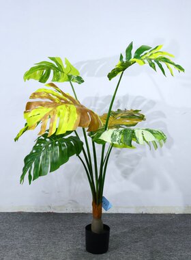 ins黄白锦龟背竹仿真绿植盆栽大型仿真室内客厅落地装饰摆件