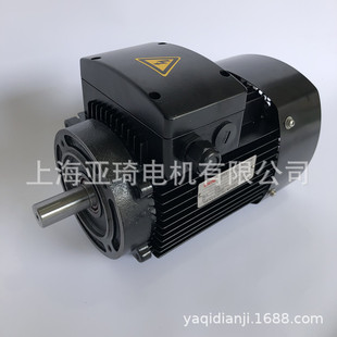 立式 多级泵电机光轴电机铝壳电机水泵电机YE2不锈钢水泵电机