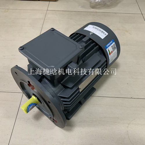 SIEMENS西门贝得三相异步电机 1TL0001-1DB23-3AA5 11KW 4极卧式