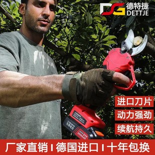 剪树枝专用剪刀修枝剪园林果树粗枝省力大剪刀sk5强力花艺园艺剪