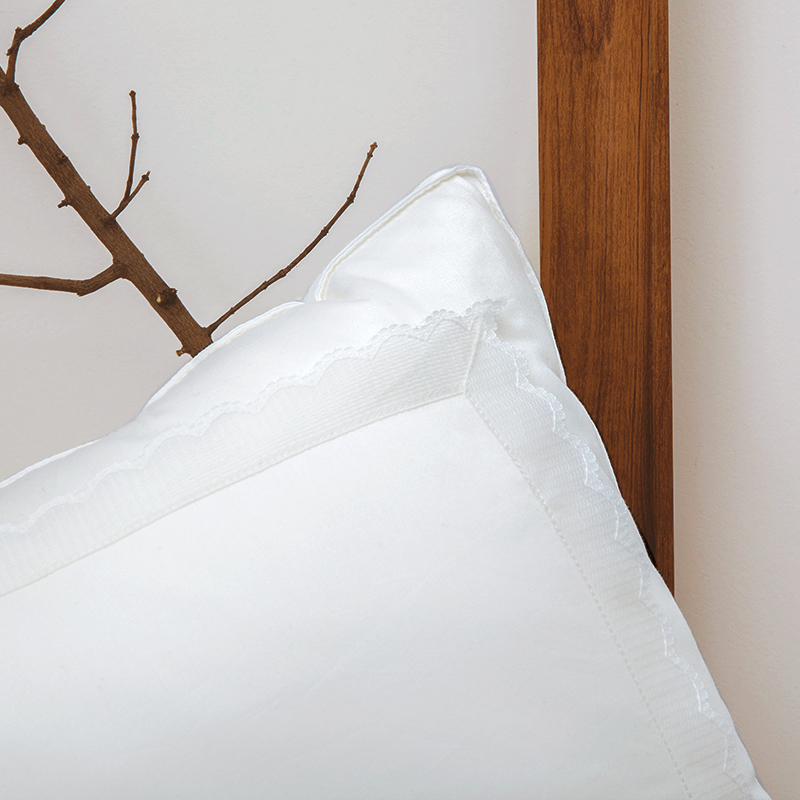 远梦蚕蛹蛋白枕头护颈椎单人不塌陷不变形家用助睡眠枕芯一对拍2