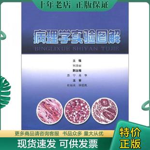 正版现货9787547814406 病理学实验图解 何彦丽 上海科学技术出版社