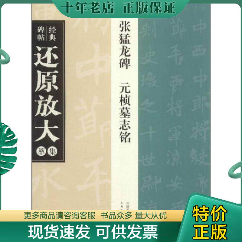 正版现货9787532292738 经典碑帖还原放大集萃：张猛龙碑元桢墓志铭 曹晓园 上海人民美术出版社