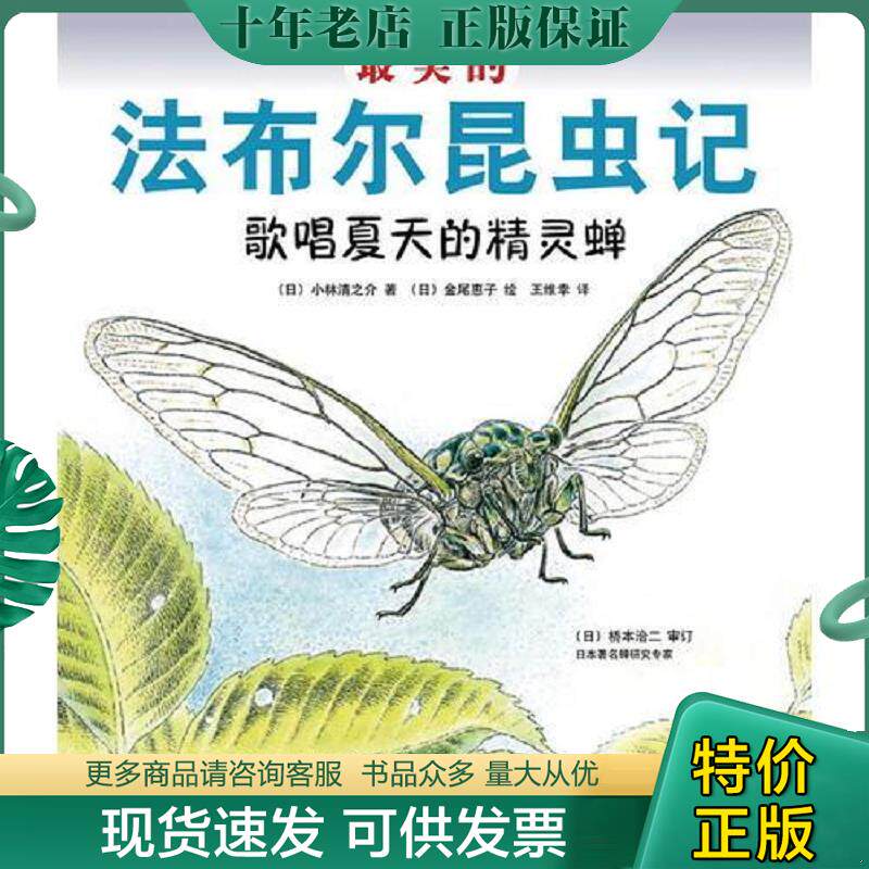 正版现货9787513304764 最美的法布尔昆虫记：歌唱夏天的精灵蝉 (日)小林清之介 新星出版社