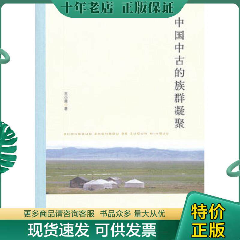 正版现货9787101088021 中国中古的族群凝聚 王小甫 中华书局