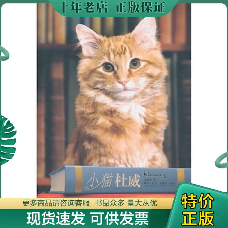正版现货9787532753123 小猫杜威 薇奇·麦仑","布赖特·维特","马爱农 上海译文出版社