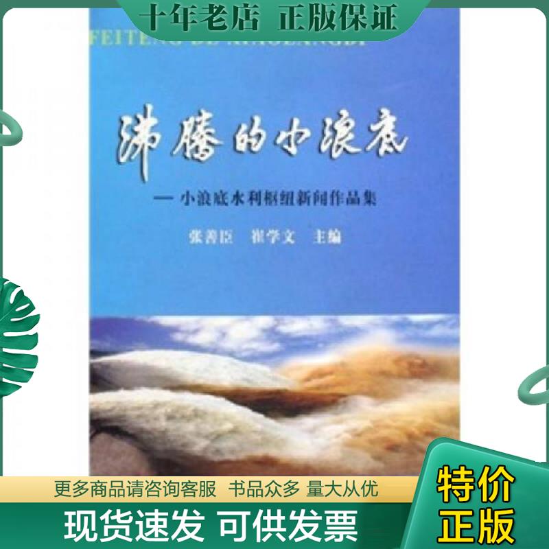 正版现货9787807346135 沸腾的小浪底:小浪底水利枢纽新闻作品集 张善臣 黄河水利出版社
