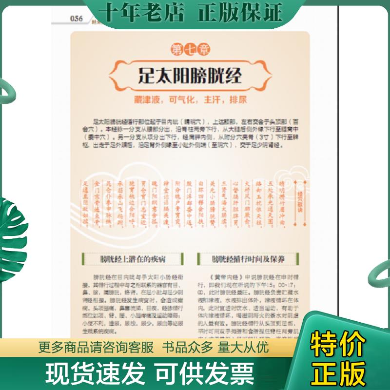 正版现货9787533766009 视频互动穴位书：经络穴位标准图册 李志刚著 安徽科学技术出版社