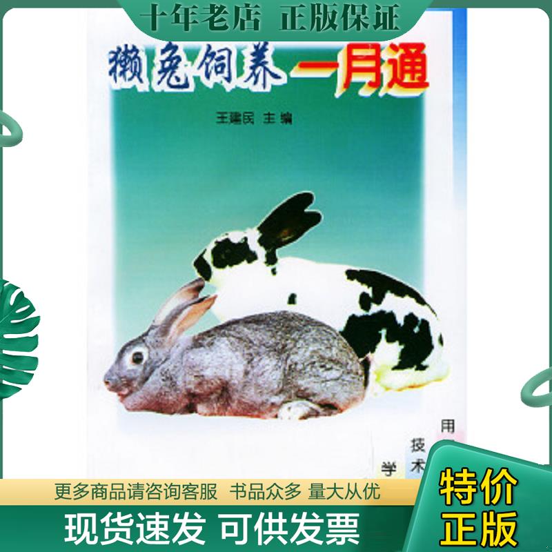 正版现货9787810661089 獭兔饲养一月通 王建民主编 中国农业大学出版社