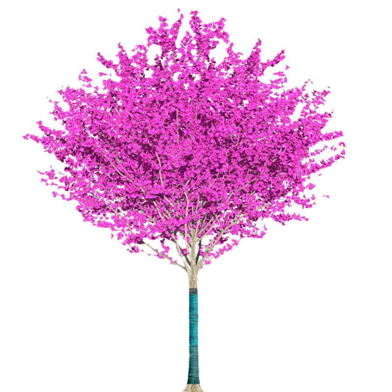 紫荆花树苗盆栽四季耐寒植物室内外阳台庭院花卉满条红丛生紫荆树