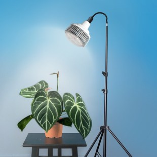 E27螺口灯架射灯泡植物生长灯落地款三脚架万向软管插头开关电线