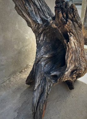 风化木枯木装饰摆件朽木空间造景老F木头沉水木精品造型自然形态