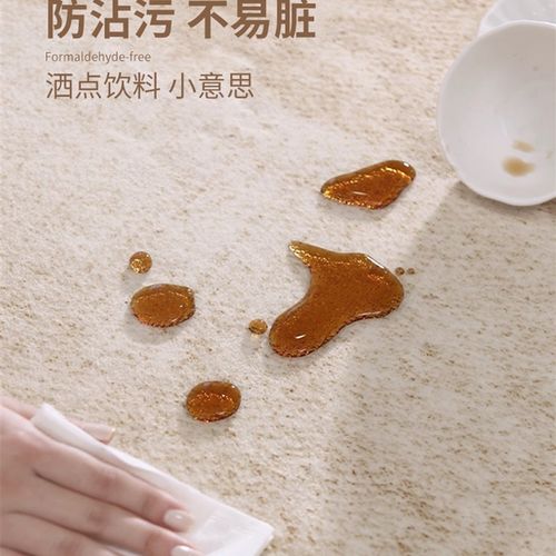 地毯意式极简客厅轻奢高级感免洗可擦防水防污简约现代2025新款