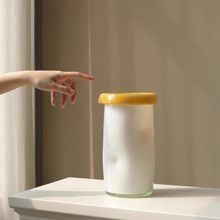 未物家居新款艺术花瓶玻璃高级感摆件插花器皿客厅装饰水培鲜花瓶