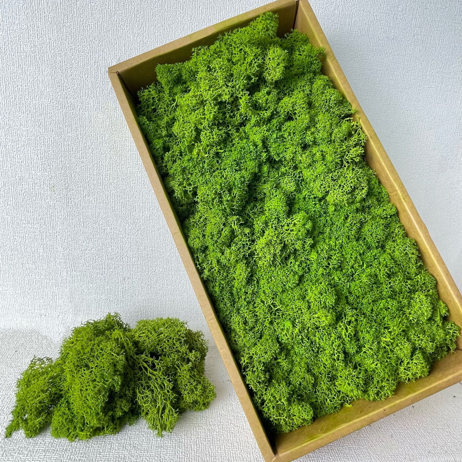 花者永生苔藓植物墙造景微景观装饰DIY花材驯鹿藓珊瑚草青苔批发