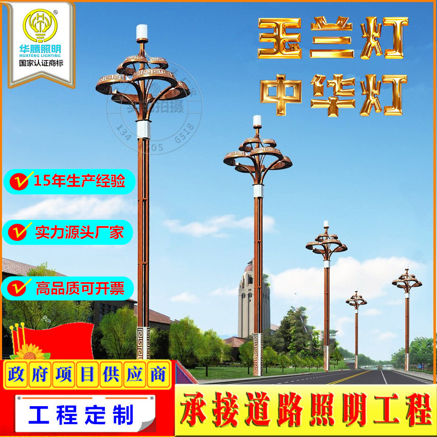 定制户外防水中华玉兰景观灯