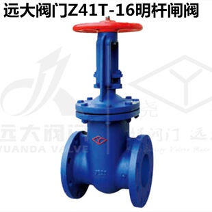 河北远大阀门Z41T-10/16铸铁法兰手动明杆楔式铜芯闸阀DN40-DN600