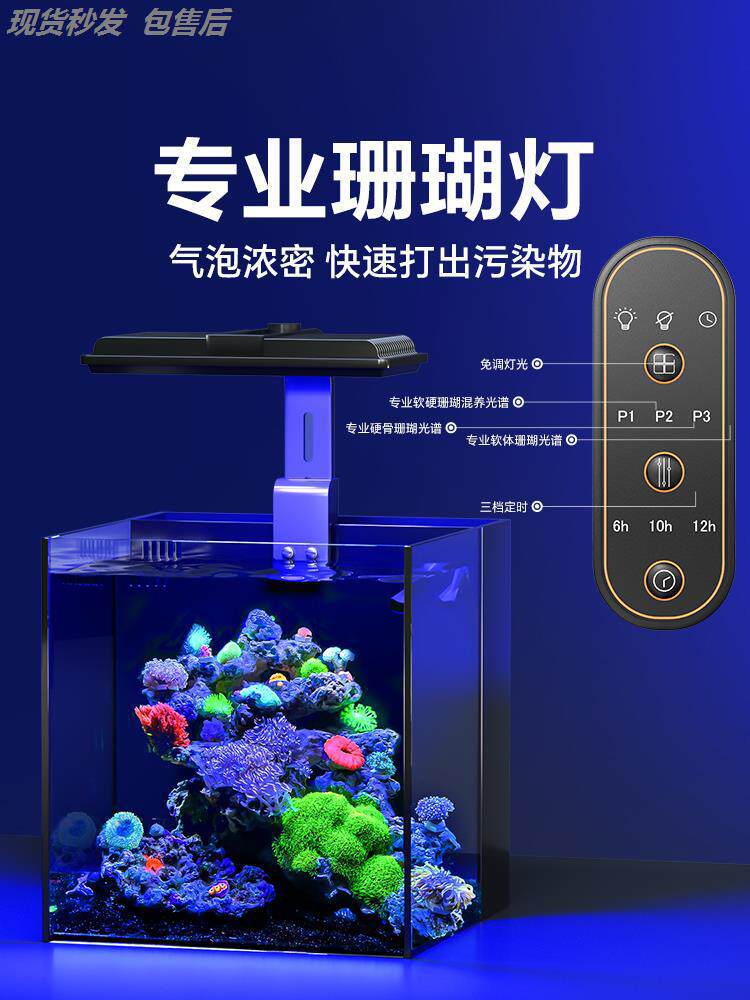 小海缸全套设备海水鱼缸小型客厅超白玻璃缸40背滤珊瑚小丑垒德株