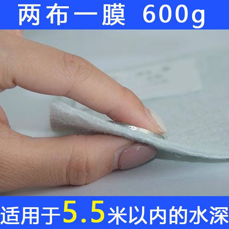 2026复合土工膜防渗防潮蓄水池鱼池防水护坡专用hdpe两布一膜一布
