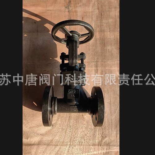 WJ41H-16C锻造A105波纹管截止阀 波纹管双层密封截流截止阀