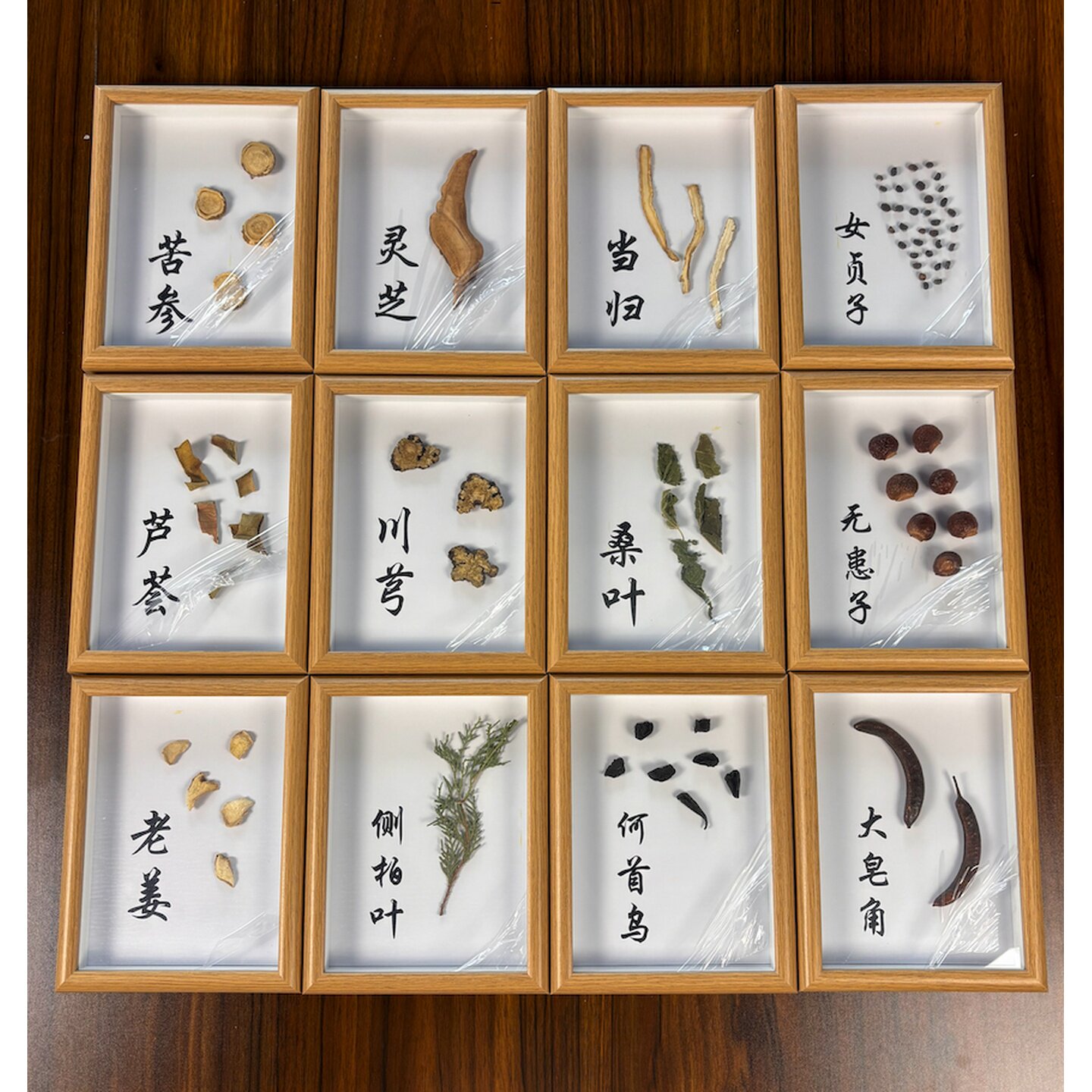 神农本草经中药样本药品展示框中药墙饰花干食材装饰画药展示形象