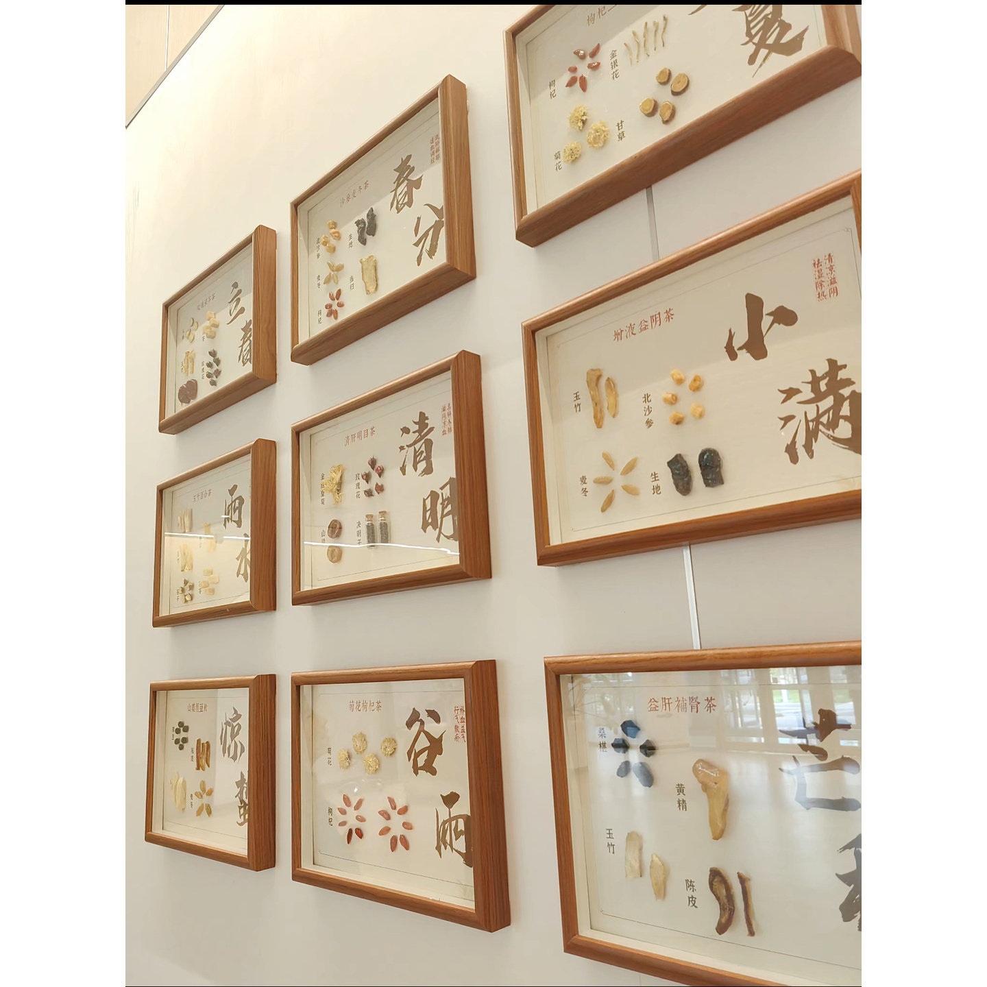24节气中药标本画中药挂画药食同源中药标本各种花中医用具草木展