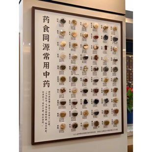 中药亚克力标本摆件展示中医院办公挂画106药食同源样品办公装 饰