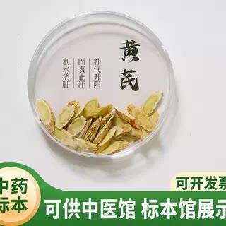 中药食材标本假红参片拍照道具药材展示蜜圆盒中药标签收纳盒