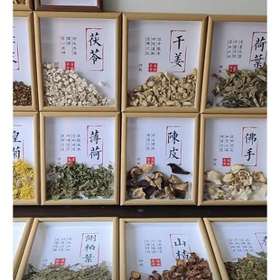 中药标本中药材标本中药特色标本汤剂送礼倪师中药材标本墙布景