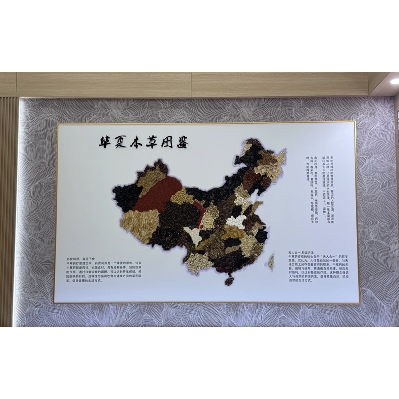 药材地图中组方标本中草药儿童图养生图摆件酸枣仁中药罐香料摆样