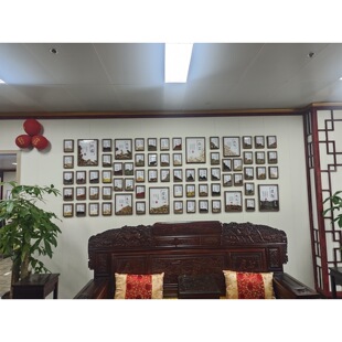 中药茶饮摆台中医馆装饰摆件养生茶原材料展示中药材标本展示墙罐