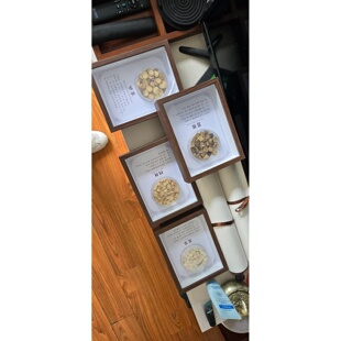 中药标本手工相框摆件展示牌中药标本展示墙二维码宣传教学展板粟