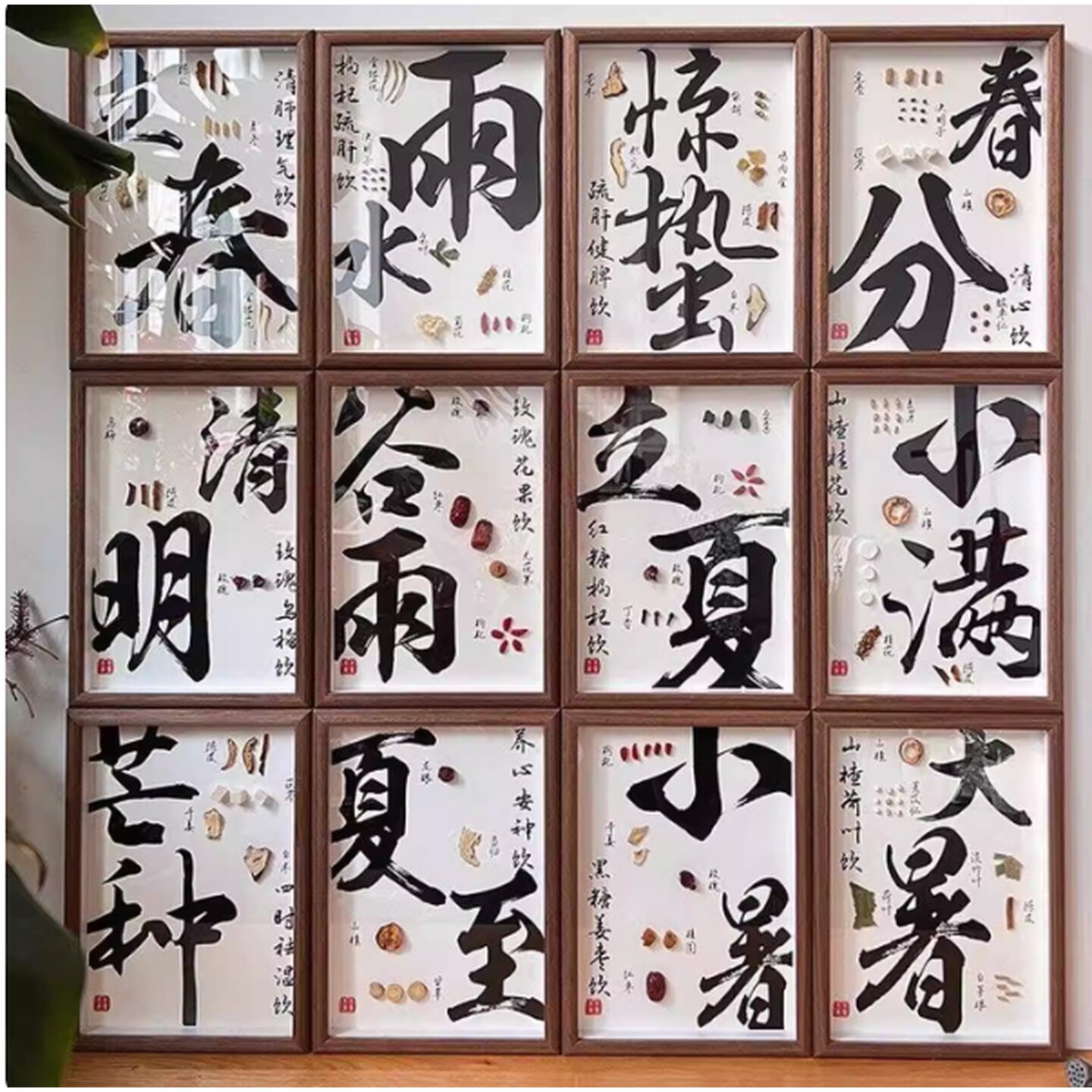 24节气植物标本中药幼儿园环创二十四节气养生挂画食材展示框diy