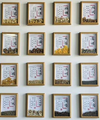 中药摆件挂画倪师汤方相框文创画框中医药画摆台手工装饰中医滋补