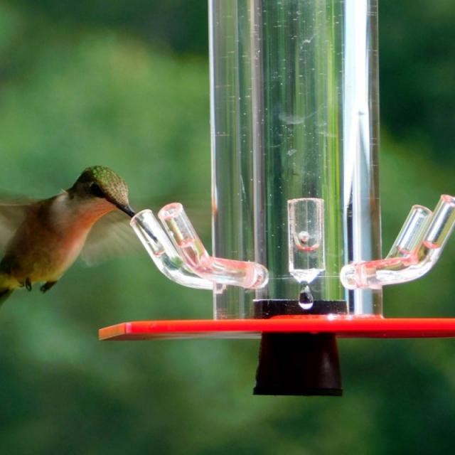 速发Tube gummigbird FeederiHaHig W ld Bird Feeder Bright Tra