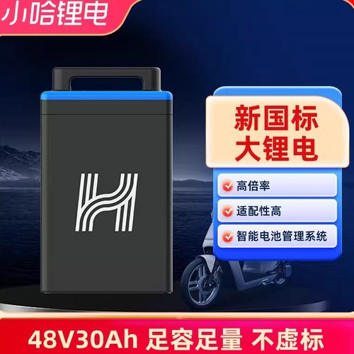 新国标48V30A锂电池小哈换电电池