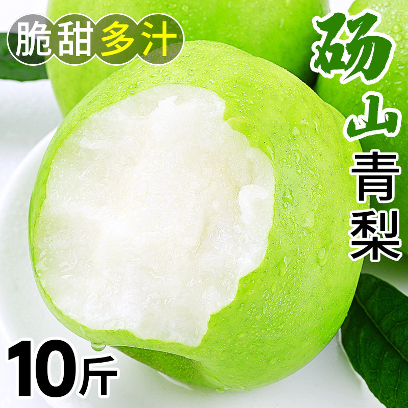 【官方推荐】砀山青皮蜜梨！