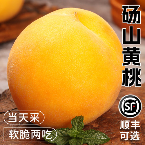 新鲜砀山脆甜黄桃！真的好吃！