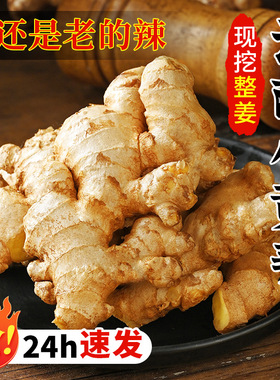 正宗云南小黄姜2025新鲜嫩姜嫩子姜现挖农家沙姜老姜生姜蔬菜批发