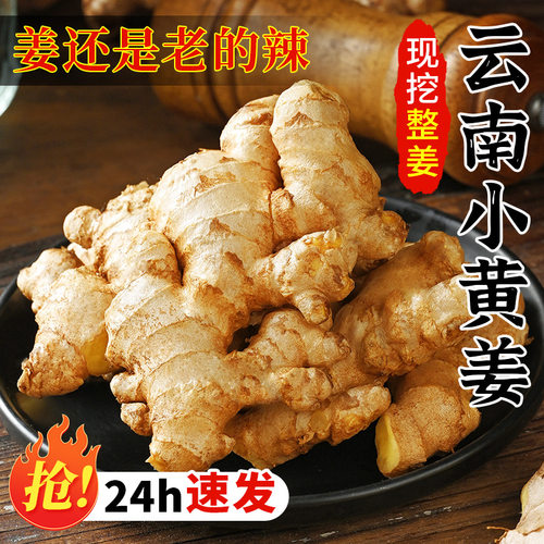 辛辣十足|现挖现发丨小黄姜