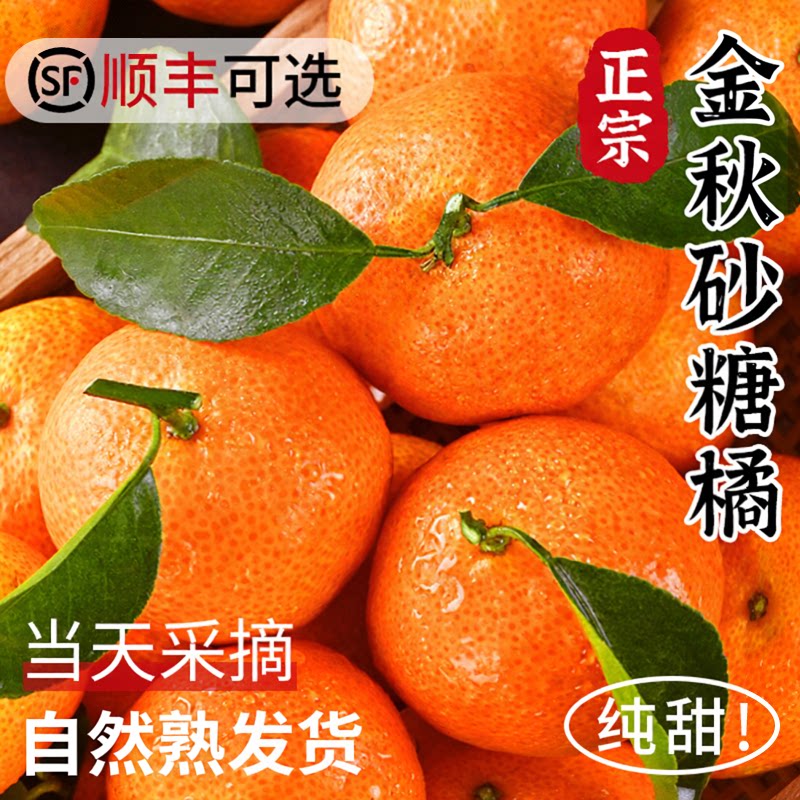 「官方推荐」年货节都囤砂糖橘!