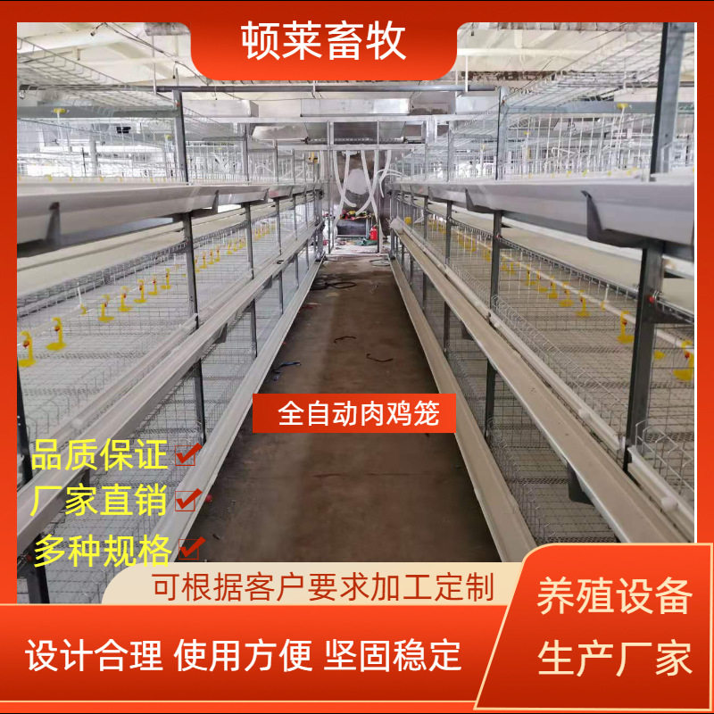 全自动框架肉鸡笼层叠式蛋鸡笼自动清粪养殖设备全套养鸡设备鸡笼