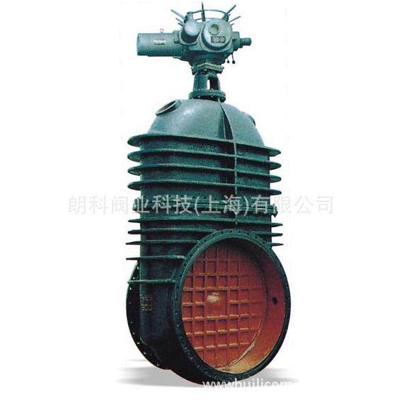 朗科阀业铸铁低压闸阀Z946T-2.5型暗杆楔式双闸板闸阀