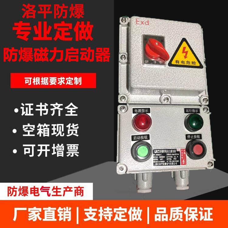 BQC53防爆磁力启动器 水泵电机风机启动控制箱电磁开关箱220V380V